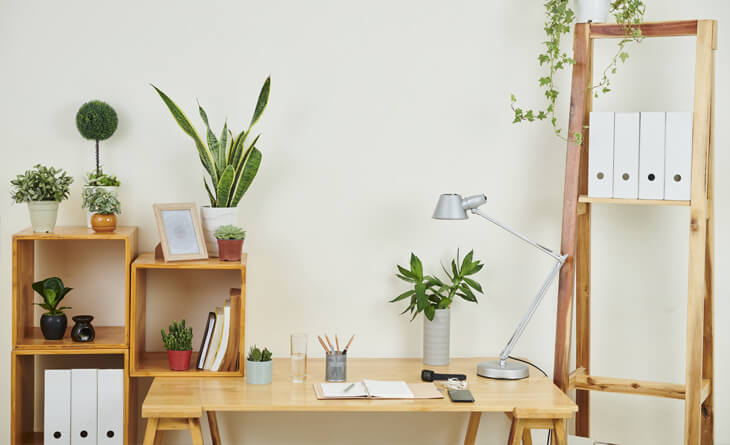 Decoração para mesa